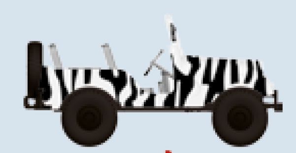 lagerJeep Universal 