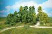 leafy trees 5-11 cm / 20 