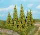 larch trees 7-11 cm / 7 p