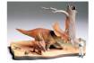 Chasmosaurus diorama