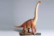 Brachiosaurus Diorama