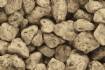 Extra Coarse Brown Talus