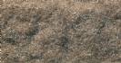 Burnt Grass Flock