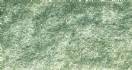 Light Green Flock