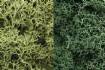 Light Green Mix Lichen