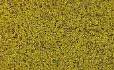 Yellow Grass Coarse Turf 
