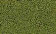 Burnt Grass Coarse Turf (
