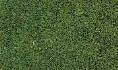 Medium Green Coarse Turf 