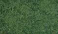 Dark Green Coarse Turf (B